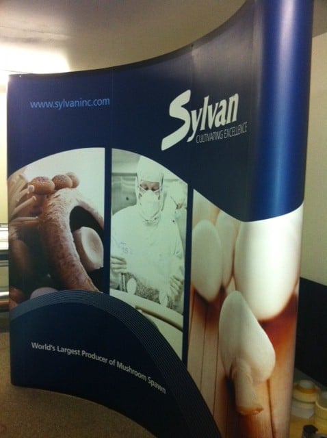 Sylvan pop up stand